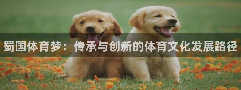 米兰体育网页版登录：蜀国体育梦：传承与创新的体育文化发展路径