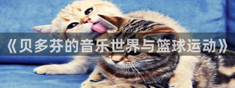 米兰体育app：《贝多芬的音乐世界与篮球运动》