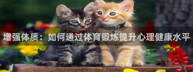 米兰体育官网：增强体质：如何通过体育锻炼提升心理健康水平